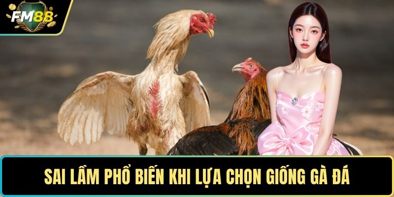 Sai lầm phổ biến khi lựa chọn giống gà đá